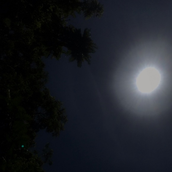 Meet your Posher, Aj - Picture 1 of 1